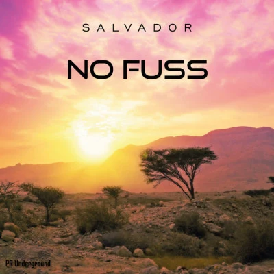 No FussSupernova (Original Mix)