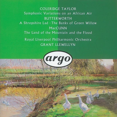 Grant LlewellynRoyal Liverpool Philharmonic Orchestrathe land of T和mountain and the flood, op.3