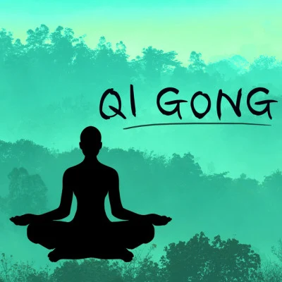 Qi Gong Academy