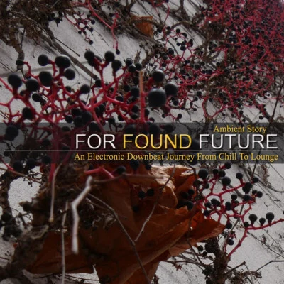 For Found FutureEffective (Seven Moments Mix)