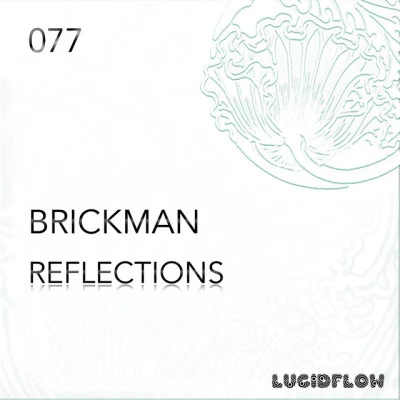 Brickmanfractal vision