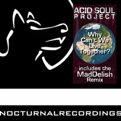 Acid Soul Projectwhy cant we live together (original mix)