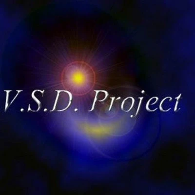 V.S.D. ProjectContact (Original Mix)