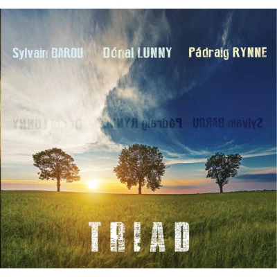 Sylvain Barou/Dónal Lunny/Pádraig RynneTriad