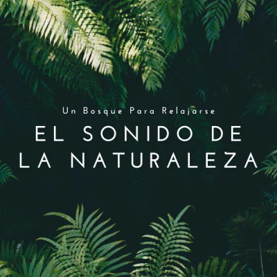 Sonido Del Bosque y Naturaleza