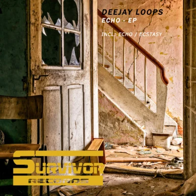 Deejay Loops