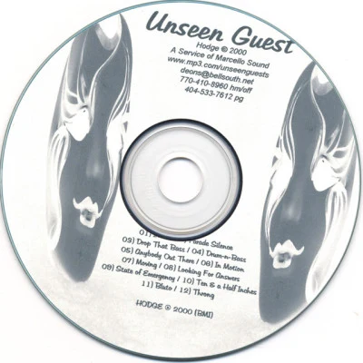 Unseen Guest