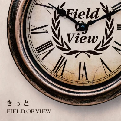 FIELD OF VIEW