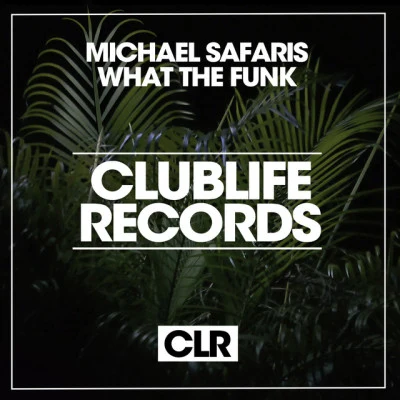 Michael Safariswhat它和funk (original mix)