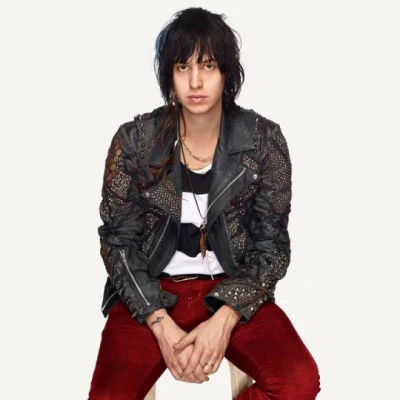 Julian CasablancasDaft PunkInstant Cush