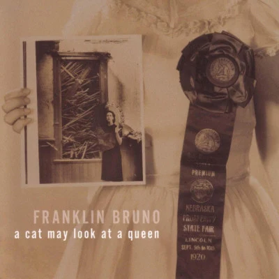 Franklin BrunoThe Irony Engine