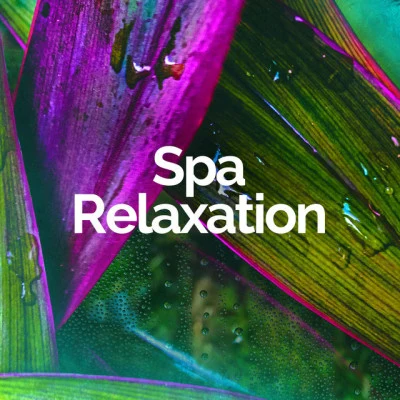 Spa RelaxationNature Sounds RadioRain HardDark Moon River