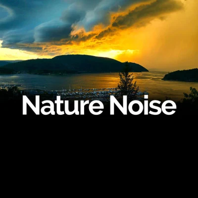 Nature Noise/Study Zone/Relaxing Nature Sounds CollectionJuly 2020 Best Relaxing Rain Compilation