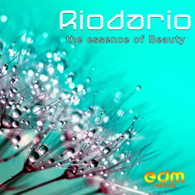 RiodarioThe Essence of Beauty