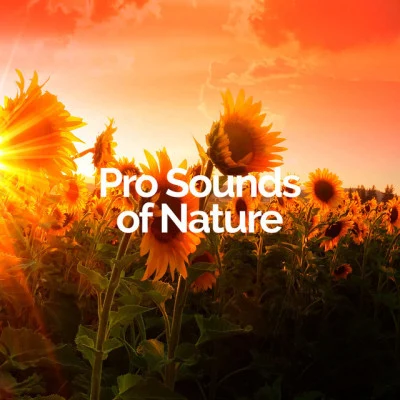 Pro Sounds of Nature