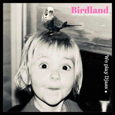 BirdlandCan U Dance To My Edit?