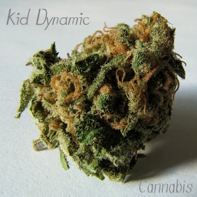 Kid DynamicDisposition