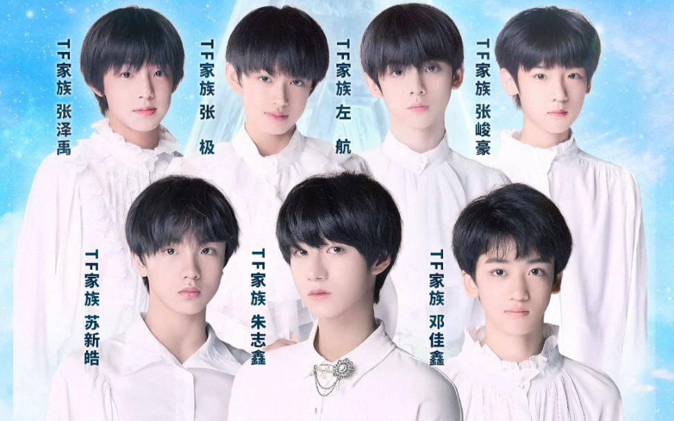 TF家族