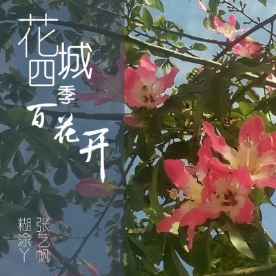 張藝帆/糊塗丫花城四季百花開