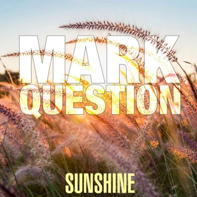 Mark QuestionOpen Answer