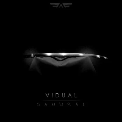 VidualIronwood (Original Mix)