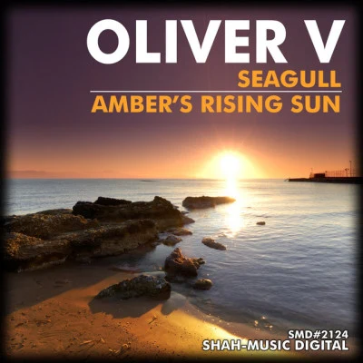 Oliver V.seagull (original mix)