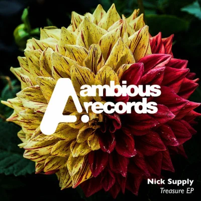 Nick SupplyBastard Face (Original Mix)