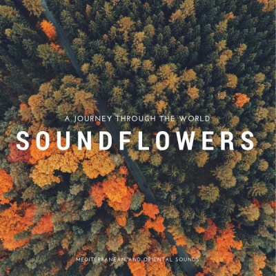 Soundflowers/Jackson/Mayer/Raffika Dionisiohouse Candy - the annual