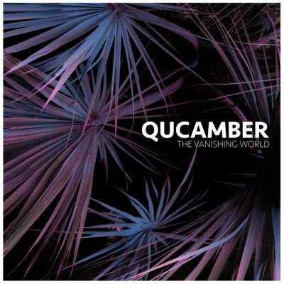 Qucamber