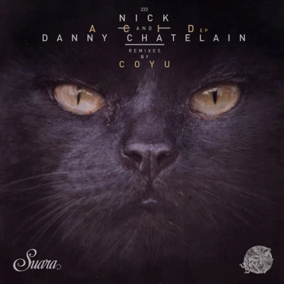 Nick & Danny ChatelainEl Pasito (Dario Nunez Remix)