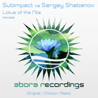 SubimpactSomeone Like You (Original Mix)