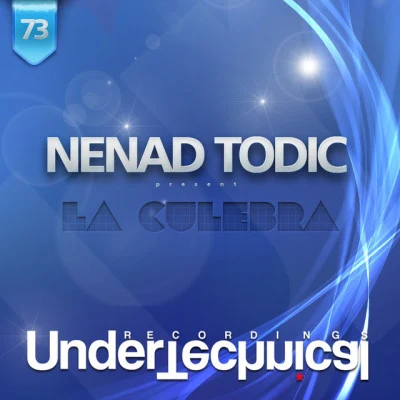 Nenad Todictwisted (original mix)