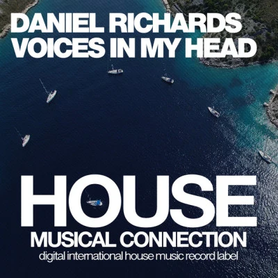 Daniel Richardsvoice sin my head (original mix)