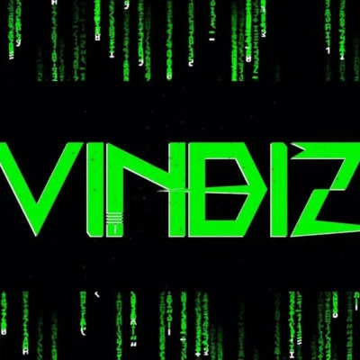 Vindizwise