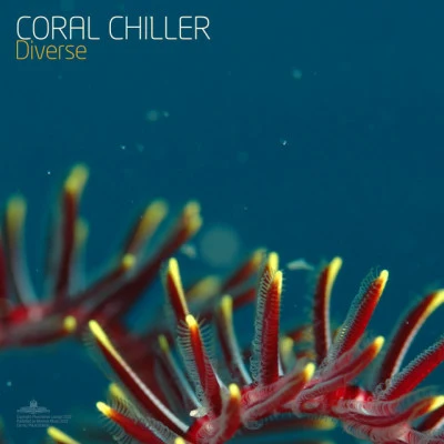 Coral ChillerLagoons