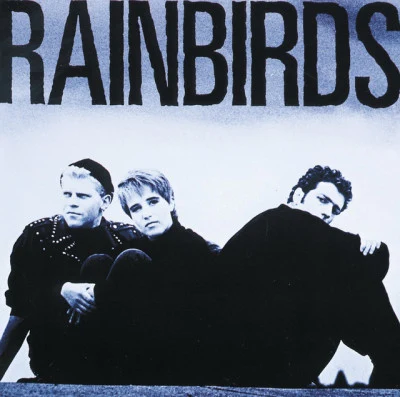 RainbirdsBlueprint (Extended Version)