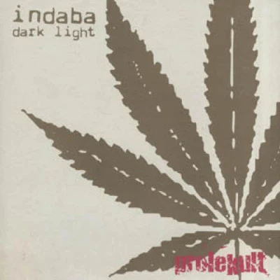 Indaba