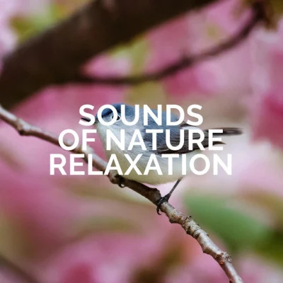 Sounds of Nature Relaxation/The Calming Sounds of NatureRelaxation under a Tree - Collection of Stunning Sounds of Nature Thanks to Which You Will Rest and Forget about Stress and Troubles