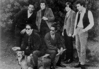 The Paul Butterfield Blues BandBlues With A Feeling