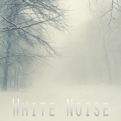 The White NoiseLove Without Sound