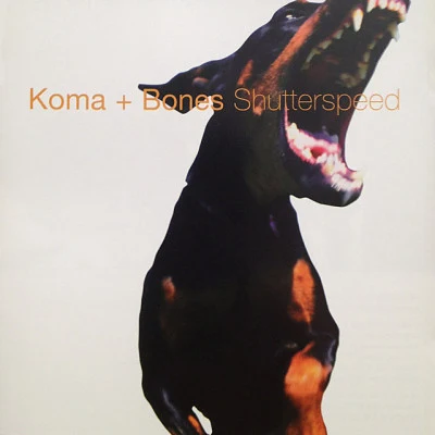 Koma & BonesBeber & TamraTravelling On (Koma & Bones Remix)