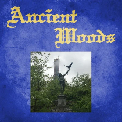 Ancient Moods/GobbySecret Airways