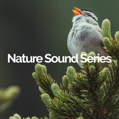 Nature Sound Series