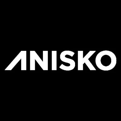 AniskoLost You (Radio Edit)