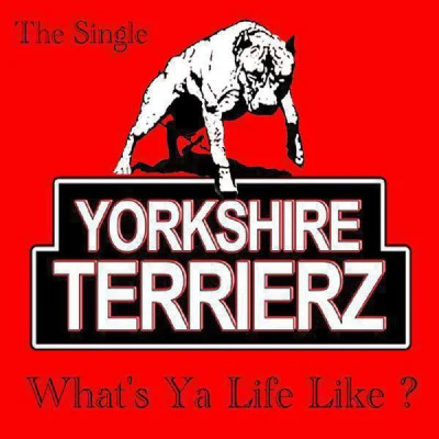 Yorkshire TerrierzWhats Ya Life Like?