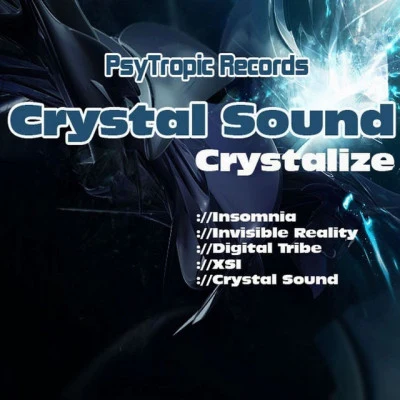 Crystal SoundRoom of Crime (Original Mix)