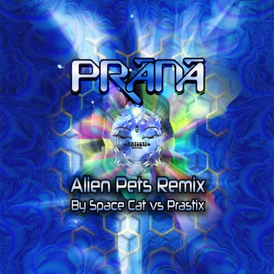 prastixSpace CatTransform (Original mix)