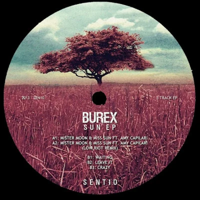 BurexAmy CapilariMister moon & Miss sun (low riot remix)