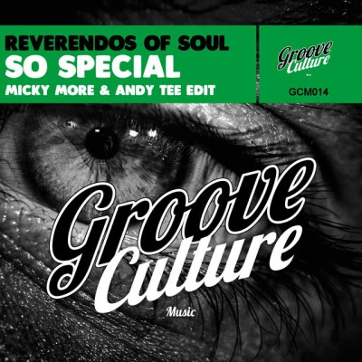 Reverendos Of Soulso special (Mick用more & Andy tee edit)