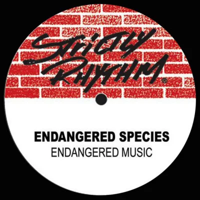 Endangered Speciesping pong (original mix)